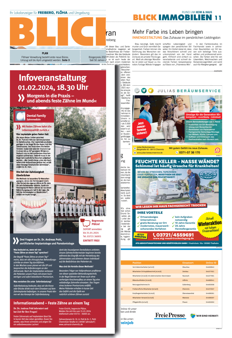 Freiberger Blick