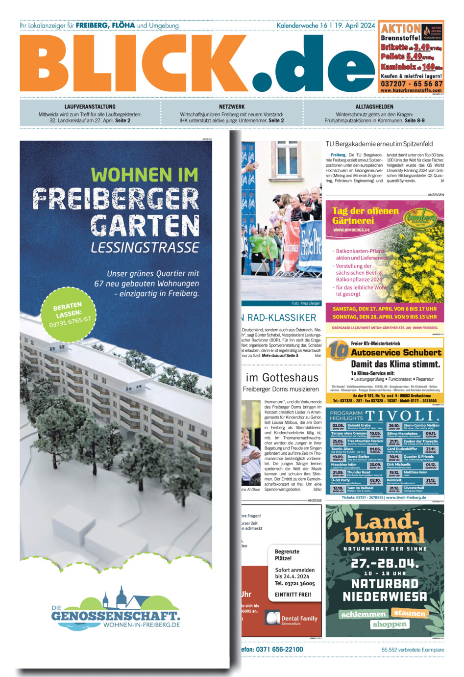Freiberger Blick