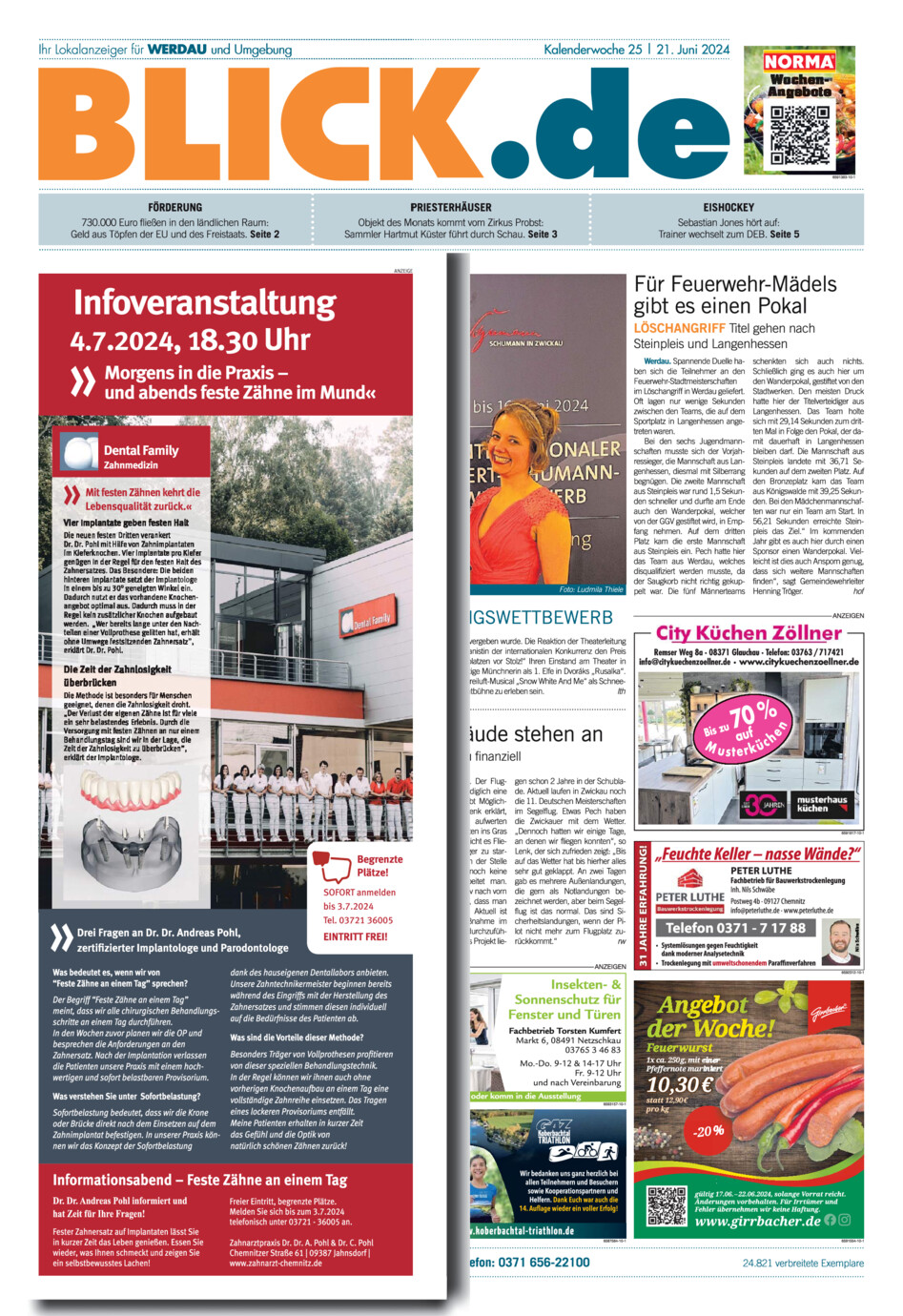 Werdauer Blick