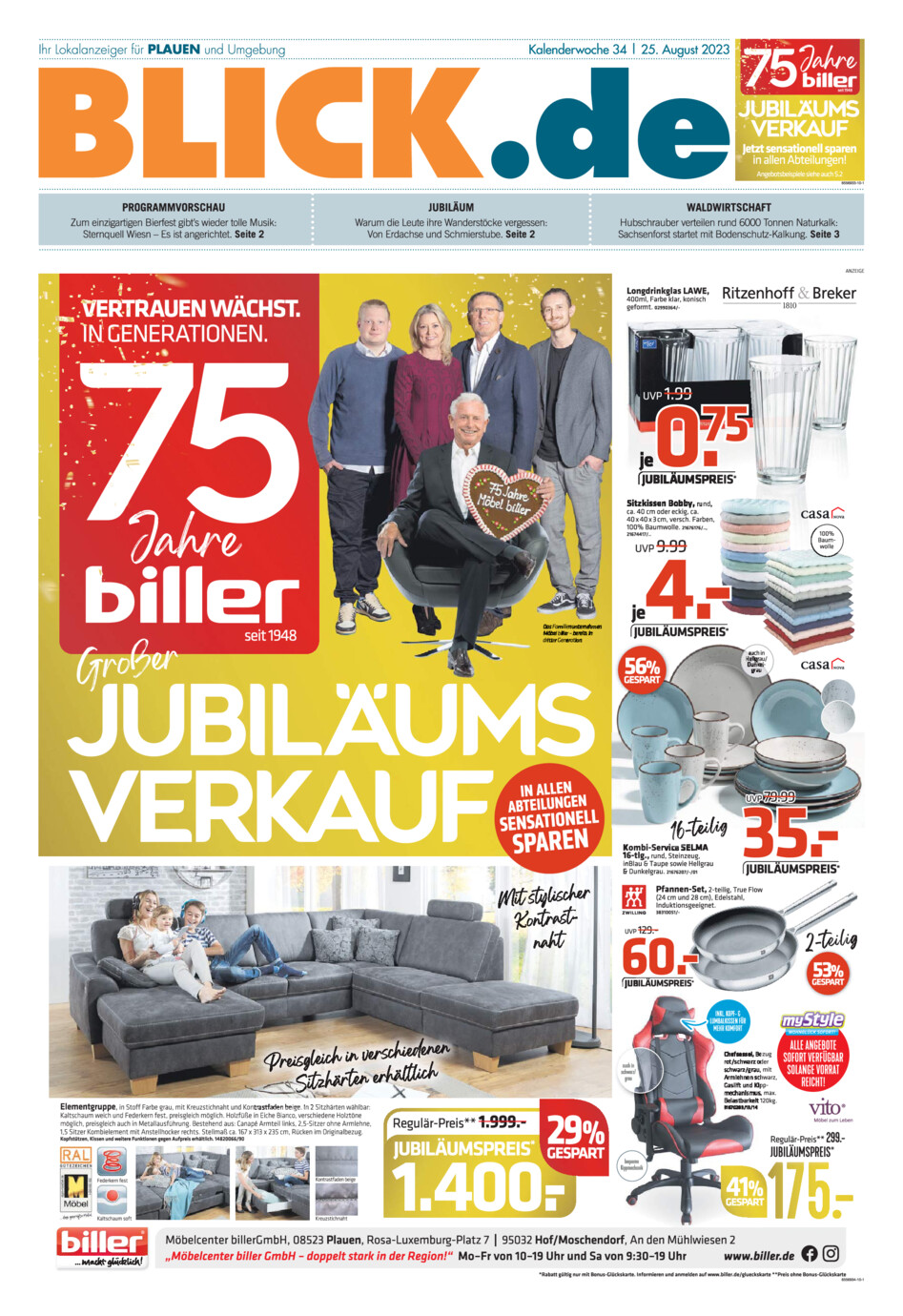 Plauener Blick